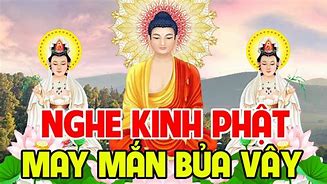 Kinh Tinh Hoa Phật Pháp