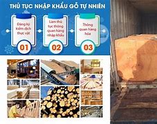 Thủ Tục Nhập Khẩu Gỗ Gõ Đỏ Việt Nam Sang Mỹ