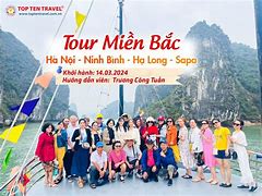 Tour Nhật Tháng 3 2024