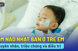 Triệu Chứng Viêm Não Nhật Bản B